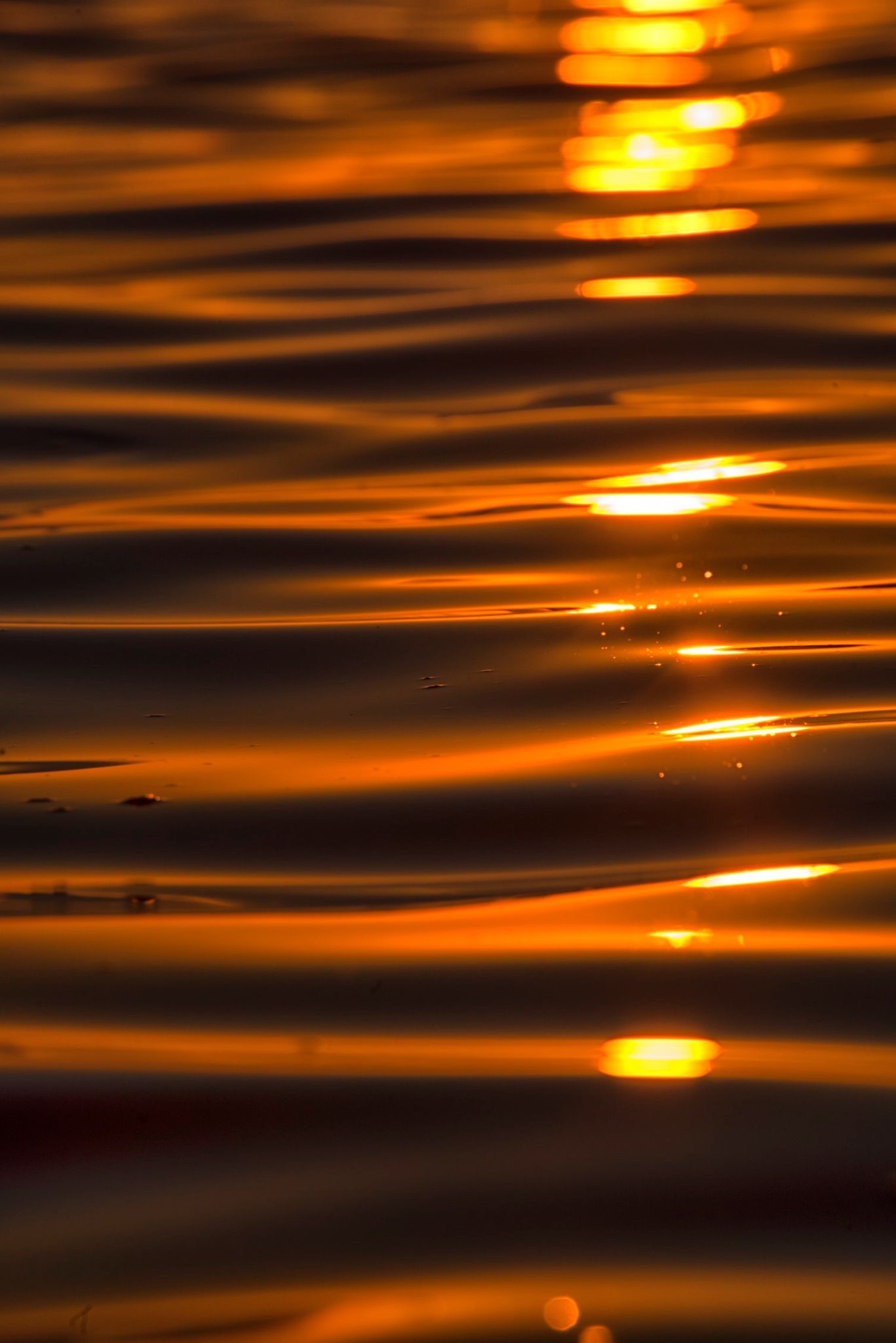 Il mare rende felici?